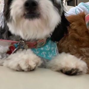 Meet your Posher, Tatiana